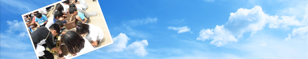 新着情報