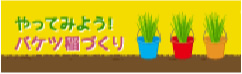 やってみよう！バケツ稲づくり